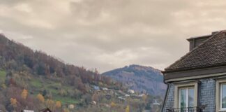 Bristol Village Apartments: Discover Stunning Homes and Lifestyle
