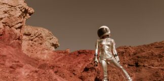 Bristol Rovers Vs Wrexham A.F.C. Standings: Who Tops The Table?