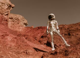 Bristol Rovers Vs Wrexham A.F.C. Standings: Who Tops The Table?