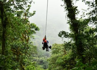 Bristol Zip Adventures: Uncover The Ultimate Thrill Experience