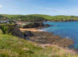 Tragic Teen Falls to Death Rescuing Dog | Bristol News tragic-teen-falls-to-death-rescuing-dog-bristol-news