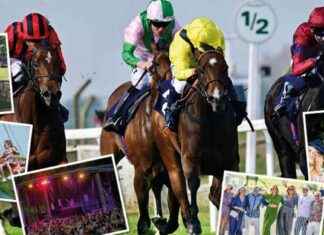 Win Free Horse Racing Tickets at Arena Racing Bristol Live in Summer win-free-horse-racing-tickets-at-arena-racing-bristol-live-in-summer