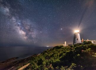 Trulieve Bristol Ct: Discover The Ultimate Guide To Premium Cannabis