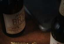Bristol Brewing Secrets: Discover The Art Of Craft Beer Excellence