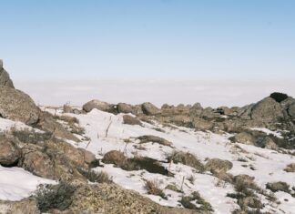 Honda Bristol: Discover Why It’s The Ultimate Choice For Drivers