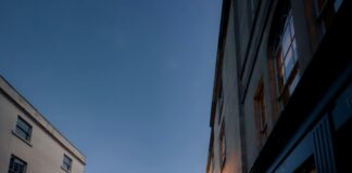 Beehive Cafe Bristol: Discover Why Locals Can’t Stop Buzzing