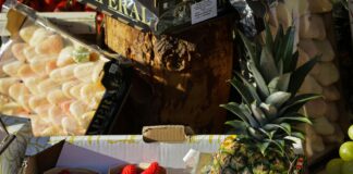 Food City Bristol TN: Discover Amazing Deals and Fresh Finds!