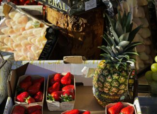 Food City Bristol TN: Discover Amazing Deals and Fresh Finds!