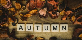 Uk Bristol Time: Discover The Surprising Facts About Local Time