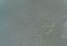 Grundy Ice Rink Bristol: Why This Hidden Gem Is A Must-Visit