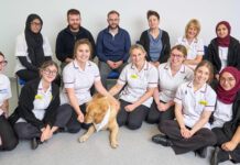 Ensuring Your Dog’s Health and Happiness in Bristol Ensuring Your Dog’s Health and Happiness in Bristol