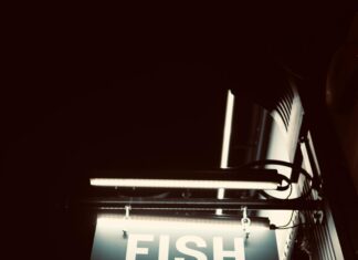 Fish And Chips Bristol: Discover The Best Hidden Gems Today!