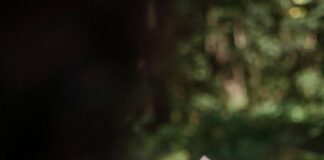 Bristol Missing People: Unraveling the Mystery Behind Their Disappearance