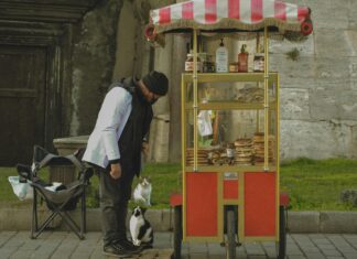 Kittens For Sale Bristol: Discover Your Perfect Feline Companion!