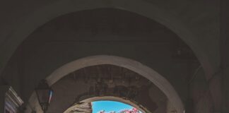 Abbots Leigh Bristol: Discover Hidden Gems in This Charming Village