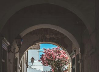 Abbots Leigh Bristol: Discover Hidden Gems in This Charming Village