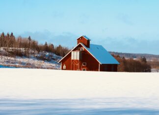 Bungalows For Sale Bristol: Discover Your Dream Home Today!