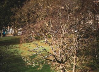 Bristol This Weekend: Discover Exciting Events You Can’t Miss!