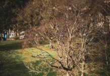 Weekend Jobs Bristol UK: Discover Exciting Opportunities Today!