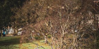 Weekend Jobs Bristol UK: Discover Exciting Opportunities Today!