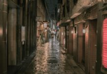 Chandos Road Bristol: Discover Hidden Gems and Local Secrets