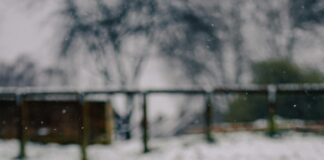 Metcheck UK Bristol: Discover the Ultimate Weather Insights Here!