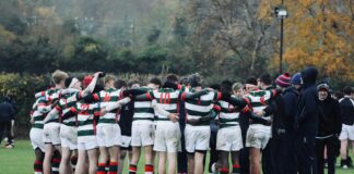 Bristol Rugby Forum: Uncover Insights and Join the Passionate Community