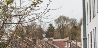 Montpelier Bristol UK: Discover The Hidden Gems Of This Vibrant Area