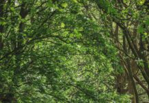 Park Furnishers Bristol: Transform Your Outdoor Space Today!