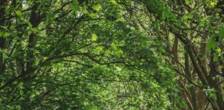 Park Furnishers Bristol: Transform Your Outdoor Space Today!