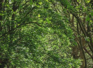 Park Furnishers Bristol: Transform Your Outdoor Space Today!