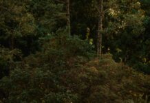 Portwall Lane Car Park Bristol: Discover Convenient Parking Today!