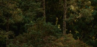 Portwall Lane Car Park Bristol: Discover Convenient Parking Today!