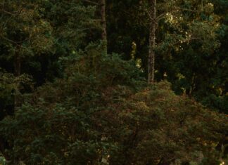 Portwall Lane Car Park Bristol: Discover Convenient Parking Today!