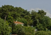 Mud Dock Bristol Cafe: Discover The Hidden Gem of Waterfront Dining