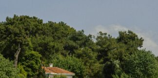 Mud Dock Bristol Cafe: Discover The Hidden Gem of Waterfront Dining