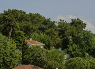 Mud Dock Bristol Cafe: Discover The Hidden Gem of Waterfront Dining