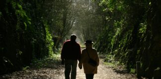 Sunday Lunch Bristol: Discover Hidden Gems for a Perfect Feast Home