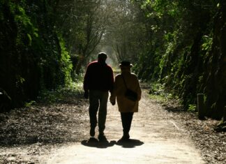 Sunday Lunch Bristol: Discover Hidden Gems for a Perfect Feast