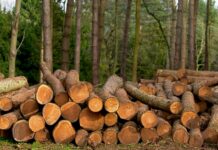 Map of Bristol in UK: Discover Hidden Gems and Must-See Spots!