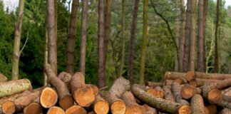 Map of Bristol in UK: Discover Hidden Gems and Must-See Spots!