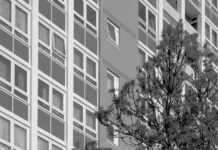 Ashton Williams Bristol City: What Makes Him a Rising Star?