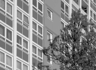 Ashton Williams Bristol City: What Makes Him a Rising Star?