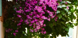 South Bristol: Discover Hidden Gems That Will Amaze You Today