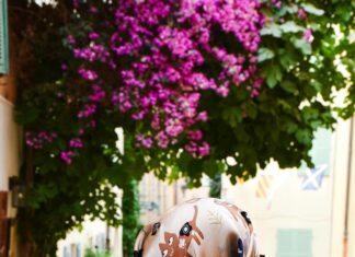 Withywood Bristol: Discover Hidden Gems and Local Secrets Today!