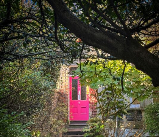 Whitchurch Bristol UK: Discover Hidden Gems and Local Secrets