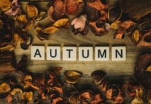 Salah Times Bristol UK: Discover The Best Prayer Schedules Today