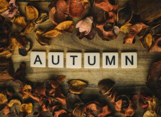 Salah Times Bristol UK: Discover The Best Prayer Schedules Today