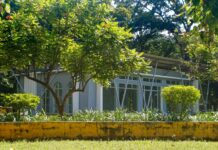 Netham Park Bristol: Discover Hidden Gems and Local Secrets