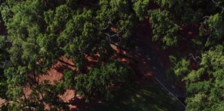 Stockwood Vale Golf Club Bristol: Discover Keynsham’s Hidden Gem